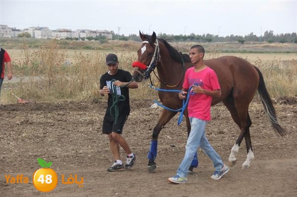 khoyoul lud 0610 (53).JPG